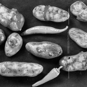 Chilli Potato