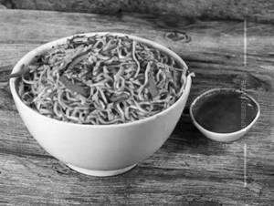 Schezwan Noodles Veg