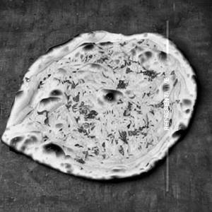 Cheese Garlic Naan