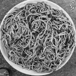 Burnt Garlic Mixed Non Veg Noodles