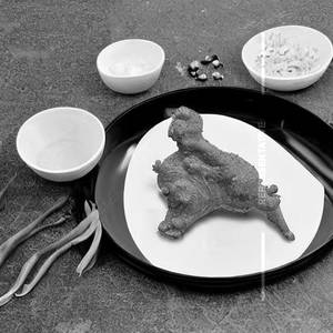 Golden Chicken [Bone]