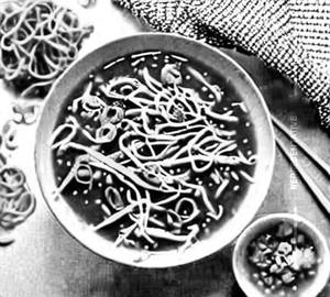 Chicken manchow