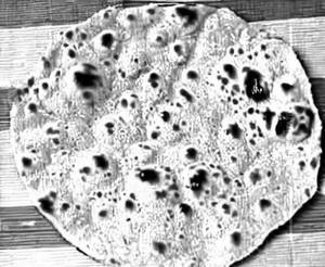 Ajwani Roti