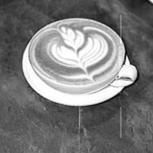Hot Cappuccino             