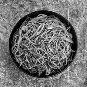 Veg Burnt Galic Hakka Noodles
