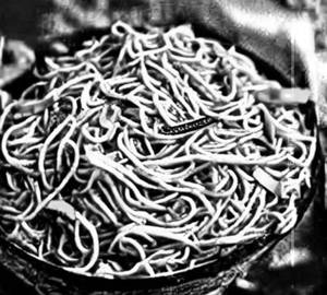 Non Veg Hakka Noodles