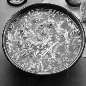 Chicken Egg Drop Soup