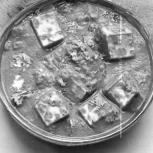 Matar Paneer Masala
