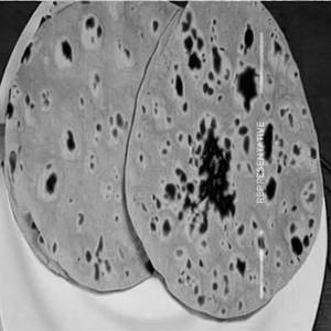 Tawa Plain Roti