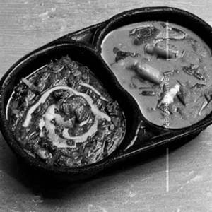 Cheese Kaju Palak Handi