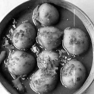 Dum Aloo