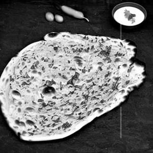 Cheese garlic naan