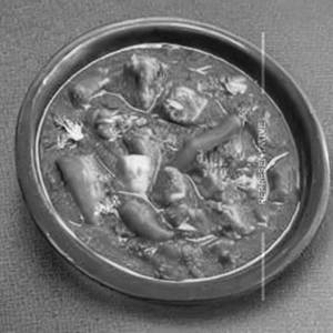 Veg Pooja Special