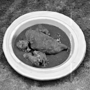 Chicken handi bone