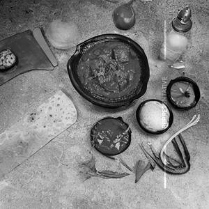 Tawa mushroom
