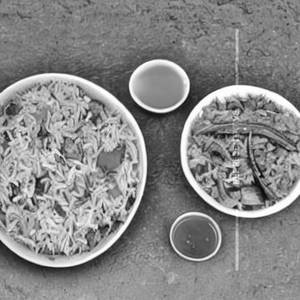 Egg Shillong Fried Rice