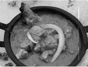 Murg Sher-E-Punjab