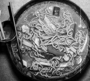 Egg gravy noodle 