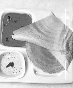 Spring Dosa