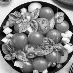 Tomato Salad