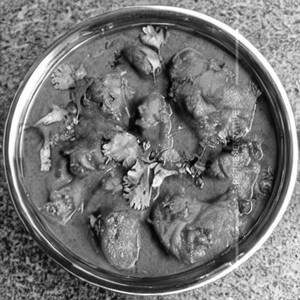 Chicken Hydrabadi Masala