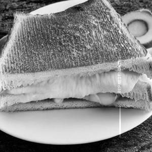 Cheese sandwich