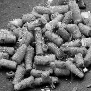 Crispy Baby Corn