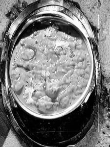 Yellow Dal Fry