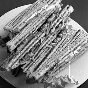 Veg Sandwich