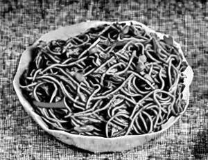 Chicken Schezwan Hakka Noodles