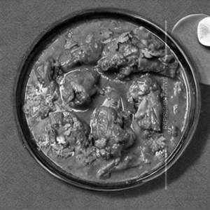 Chicken Lahori