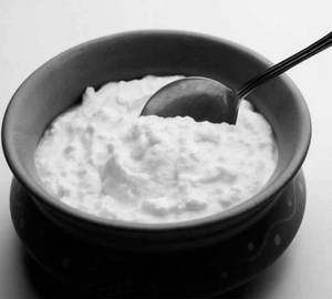 Plain Dahi