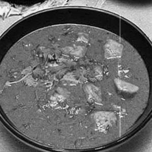 Fish hong kong gravy                        