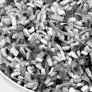Baby Corn Salad
