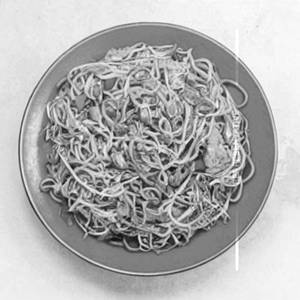 Gobi Noodles