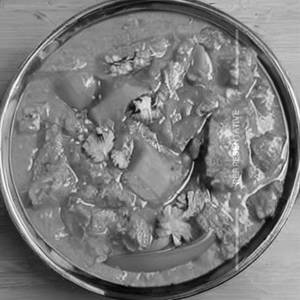 Veg Chatpata