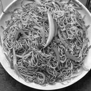 Singapore Noodles Veg