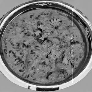Murgh Makhani