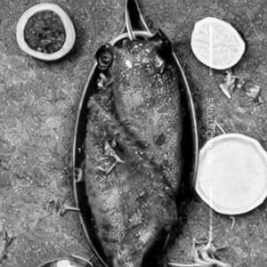Pepper Fish 