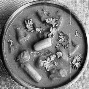 Baby Corn Kaju Curry