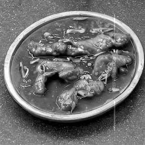 Ginger Chicken Wet 