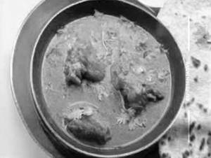 Chicken Kalimirchi