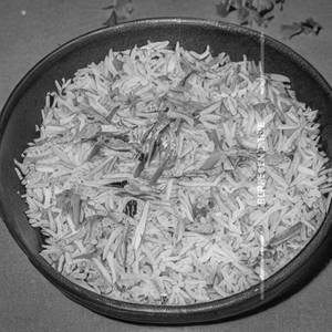 Pudina Pusa