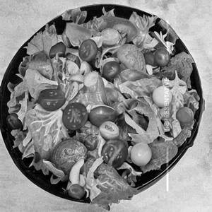 Foster Leaf
