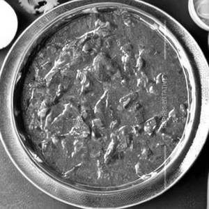 Plain Palak Curry