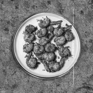 Golden Fried Prawns  