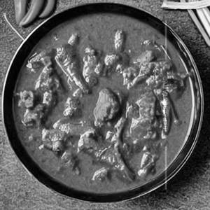 Veg Pista