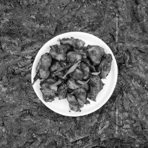Chicken Pepper