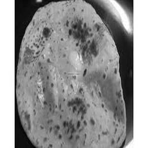Butter Roti