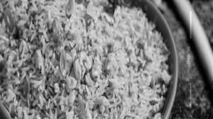 Cashew Fried Rice